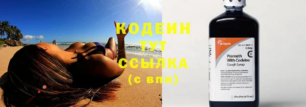 ГАЛЛЮЦИНОГЕННЫЕ ГРИБЫ Заволжье