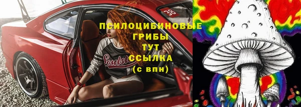ГАЛЛЮЦИНОГЕННЫЕ ГРИБЫ Заволжье