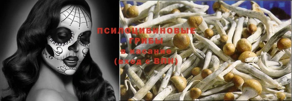 крисы Заводоуковск