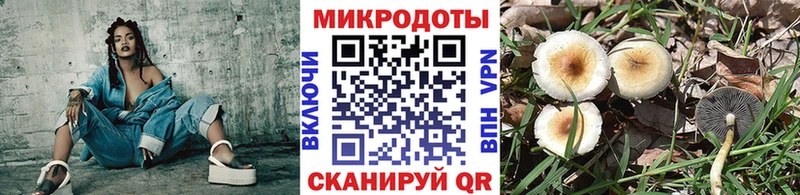 Купить  Нытва  Галлюциногенные грибы прущие грибы 